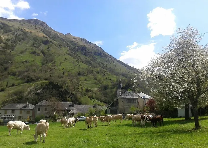 Lo Saunei فندق مبيت وإفطار لارونس